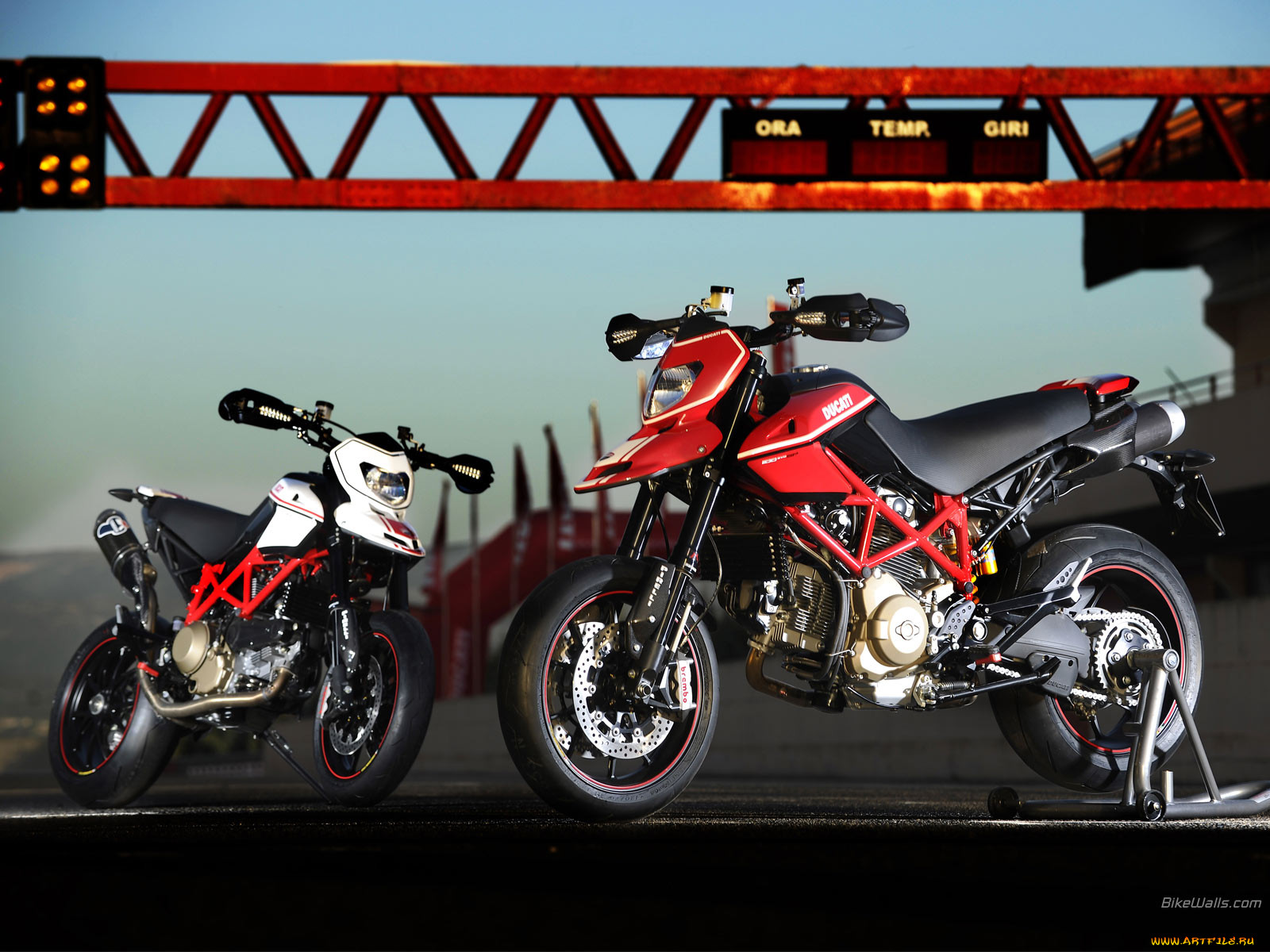 , ducati